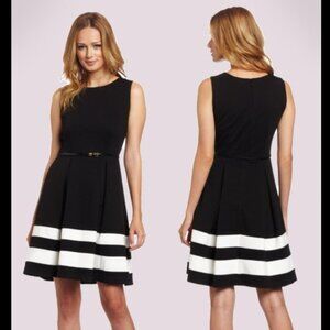 Calvin Klein Womens Black White Striped Fit Flare Dress Size 14 Sleeveless Zips